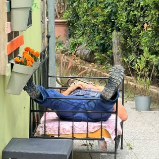 Giardino esterno con fiori